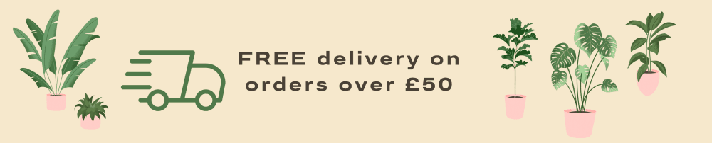 Free delivery on orders over £50